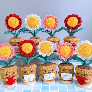 Cute Handmade Crochet Daisy Potted Plant,Crochet Shining and Sparkling Daisy,Emotional Support Gift,Thank You Gifts,Daisy with Hugging Heart