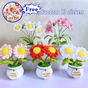 Adorable Handmade Crochet Daisy Potted Plant,Plastic White Pot Crochet Daisy Potted Plant,Crochet Flower in Pot,Housewarming Gift,Knit Daisy