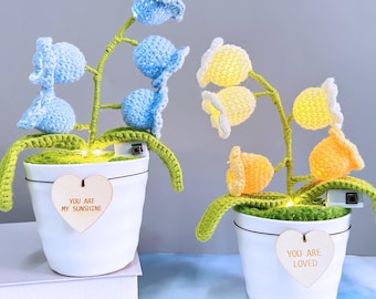 May include: Two crocheted flower arrangements in white pots with lights inside. The blue flower arrangement has a heart-shaped tag that says "You are my sunshine." The yellow flower arrangement has a heart-shaped tag that says "You are loved."