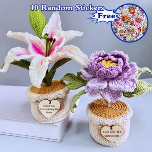 Handmade Crochet Peony/Lily Flower in pot,Crochet Lily/Peony,,Beautiful Lily Pot,Bloom Peony Potted Plant,Gift for Her/Him with Custom Tags
