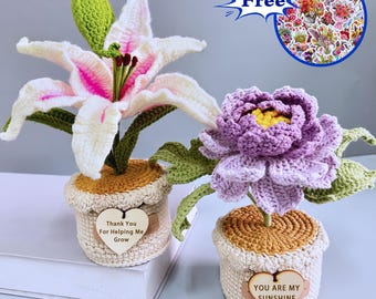 Handmade Crochet Peony/Lily Flower in pot,Crochet Lily/Peony,,Beautiful Lily Pot,Bloom Peony Potted Plant,Gift for Her/Him with Custom Tags