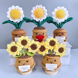 Könnte beinhalten: Gehäkelte Pflanzen mit Gänseblümchen und Sonnenblumen in braunen Töpfen. Die Gänseblümchen haben weiße Blütenblätter und gelbe Zentren. Die Sonnenblumen haben gelbe Blütenblätter und braune Zentren. Jeder Topf hat ein kleines Schild.