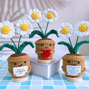 Perfect Handmade Crochet Double Ended Daisy Potted Plant,Cute Crochet Flowers,Crochet Daisy in Pot,Thank you Gift,Emotional Support Plant