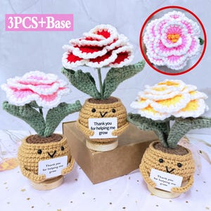 Handmade Crochet Peony Flower Pot,Emotional Support Crochet Desk Decor,Thanks For Help Me Grow,Positive Crochet Flower,Boss Day Gift