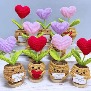 Può includere: Una collezione di fiori a forma di cuore all'uncinetto in piccoli vasi. I cuori sono rossi, rosa e viola. I vasi sono color cuoio con facce sorridenti e piccoli cartelli con la scritta "Thank you for helping me grow" e "Emotional Support Plant."