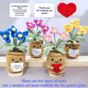 Può includere: Piante in vaso all'uncinetto con fiori blu, rosa e gialli. Ogni vaso ha una faccia sorridente e una piccola carta con testo. Viene mostrato anche un cuore rosso all'uncinetto. Il testo sulle carte recita "Grazie per avermi aiutato a crescere" e "Emotional Support Plant".
