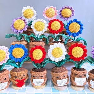 Crochet Daisy Potted Plants,Emotional Support Daisy,Crochet Daisy with Hugging Heart,Thank You Gift,Crochet Flowers,Gifts For Plant Lover