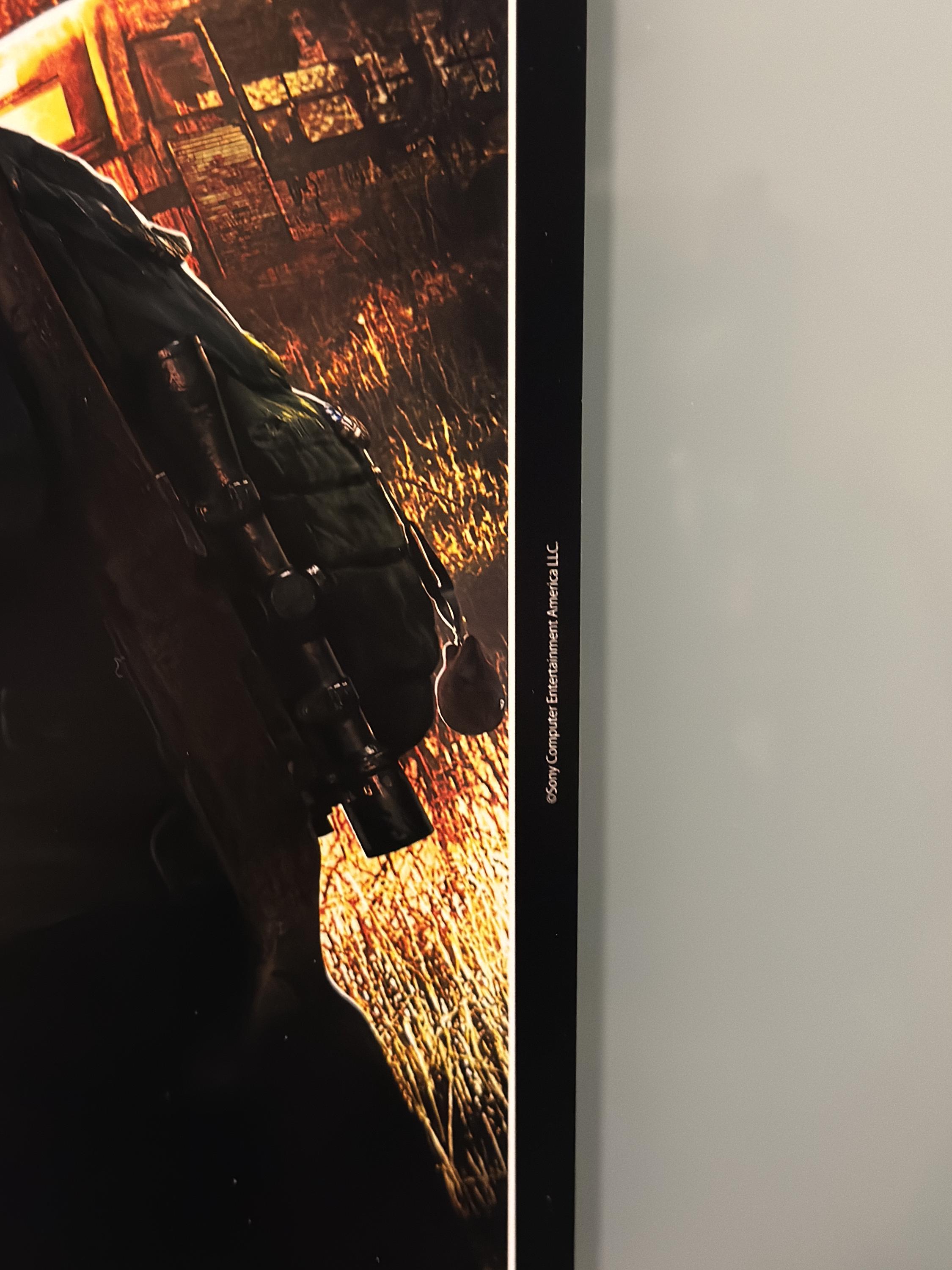 The Last of Us Japanese Promotional Poster Reprint B2 - Etsy