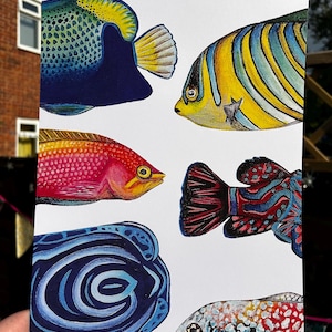Colorful Tropical Fish Art Print – Acrylic Ocean Wall Decor, Coastal Home Artwork, Vibrant Underwater Scene, Beach House Decor