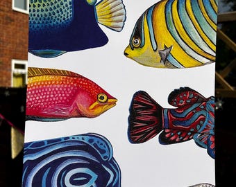 Colorful Tropical Fish Art Print – Acrylic Ocean Wall Decor, Coastal Home Artwork, Vibrant Underwater Scene, Beach House Decor
