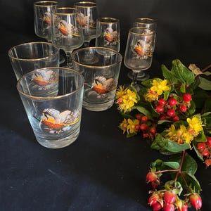 Rare  Pheasant Glassware Set – 1950s Gold-Rimmed Bar Glasses (Set of 9)