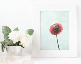 Download digitale di Dahlia, stampa d'arte, stampa floreale, stampa Dahlia, Dahlia foto, Instant arte stampabile