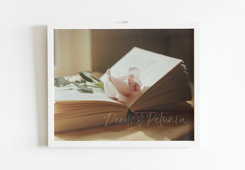 Art Print Romantic Print Instant Printable Art Book Print Rose and Book Digital Download