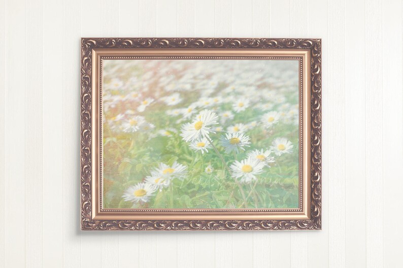 Daisy Field Digital Download, Art Print, Daisy Print, Flower Field Print, Daisies Photo, Instant Printable Art image 2