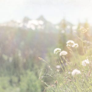 Art Pack Dreamy Wildflowers Bundle Downloadable Stock Photo Pack, Nature Prints, Flower Photography, Instant Printable Art