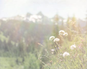 Art Pack Dreamy Wildflowers Bundle Downloadable Stock Photo Pack, Nature Prints, Flower Photography, Instant Printable Art