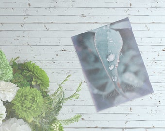 Raindrop Leaf Digital Download, Art Print, Nature Print, Rain Drop Print, Leaf Photo, Instant Printable Art