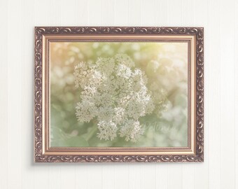 Queen Anne's Lace Digital Download, Mountain Flowers Print, Wildflower Print, Wildflowers Print, Flower Photo, Instant Printable Art