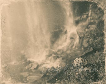 Wildflower Waterfall Digital Download, Black and White Print, Vintage Film Photo, Monochrome Print, Sepia Photo, Instant Printable Art