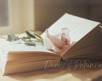 Rose and Book Digital Download, Art Print, Book Print, Romantic Print, Instant Printable Art