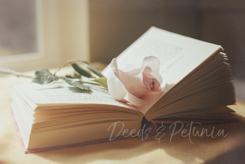 Art Print Romantic Print Instant Printable Art Book Print Rose and Book Digital Download