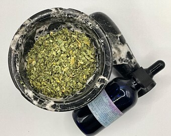 Moringa (Moringa oleifera) Tinktur
