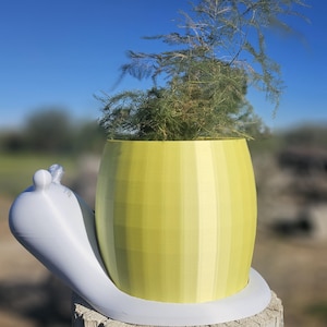 Snail Planter