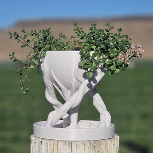 May include: A white, tree-trunk-shaped planter pot with a matching saucer, holding a green plant with small pink flowers. The pot is supported by intertwined, branch-like structures. The background features a blue sky and green field.
