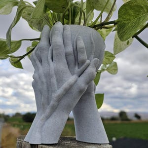 May include: A gray, hand-shaped planter holding a green and white plant. The planter is made of a speckled material and is resting on a weathered wooden post. The plant has large, variegated leaves.