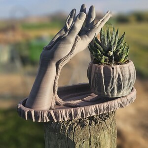 Hanging Hand Planter: Succulent Conversation Starter