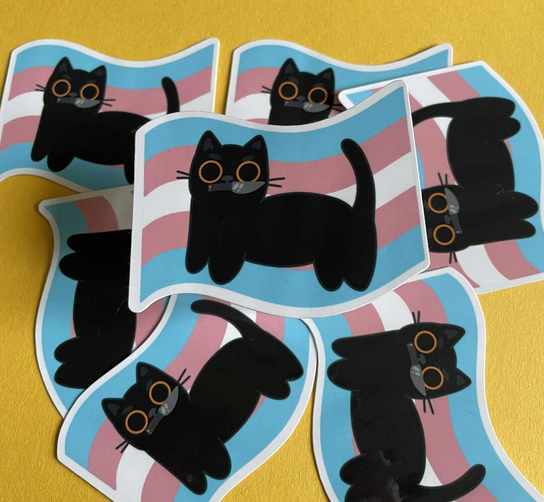 Trans Flag Angry Cat Vinyl Sticker- Lgbtqia+ Pride - Etsy