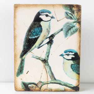 Könnte beinhalten: Rechteckige Keramikfliese mit zwei Vögeln auf einem Ast. Die Vögel haben blaues, schwarzes und weißes Gefieder. Die Fliese hat ein verwittertes Aussehen mit einem hellbeigen Hintergrund und braunen Rändern. Blätter sind zu sehen.