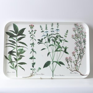 Pode incluir: Uma bandeja de servir retangular branca com ilustrações botânicas de quatro ervas distintas. O design inclui folhas verdes e flores rosas ou azuis com os rótulos científicos Laurus Nobilis, Origanum Vulgare, Ocimum Basilicum e Thymus Vulgaris.
