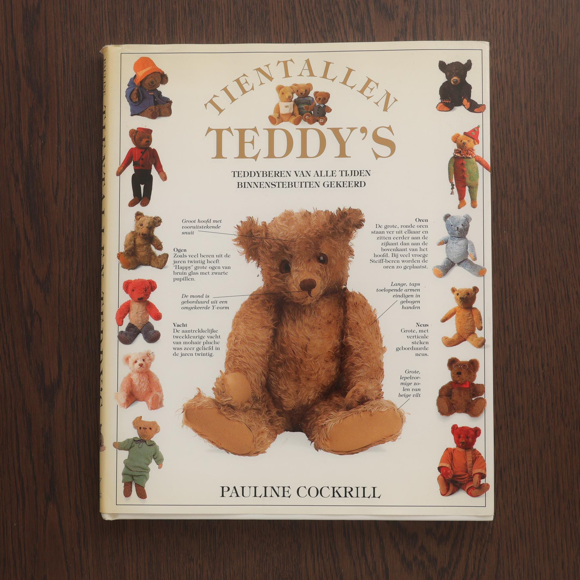Steiff Music Teddy Bear - Etsy