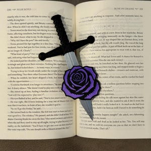 New Design*** Quicksilver inspired Butterfly Sword Series Book Inserts image 6