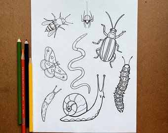 Målarbild med insekter, insekter och kryp, målarbild med sniglar, skriv ut din egen