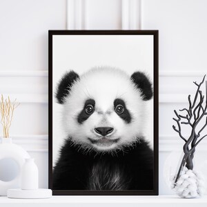 Black And White Baby Panda Print - Panda Portrait - Furry - Animal Portrait - Safari Bedroom - Home Decor Gift - Contemporary Modern Poster