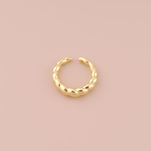 Puede incluir: Un aro para la oreja de color dorado con un diseño trenzado. El aro está hecho de metal y tiene un acabado liso.