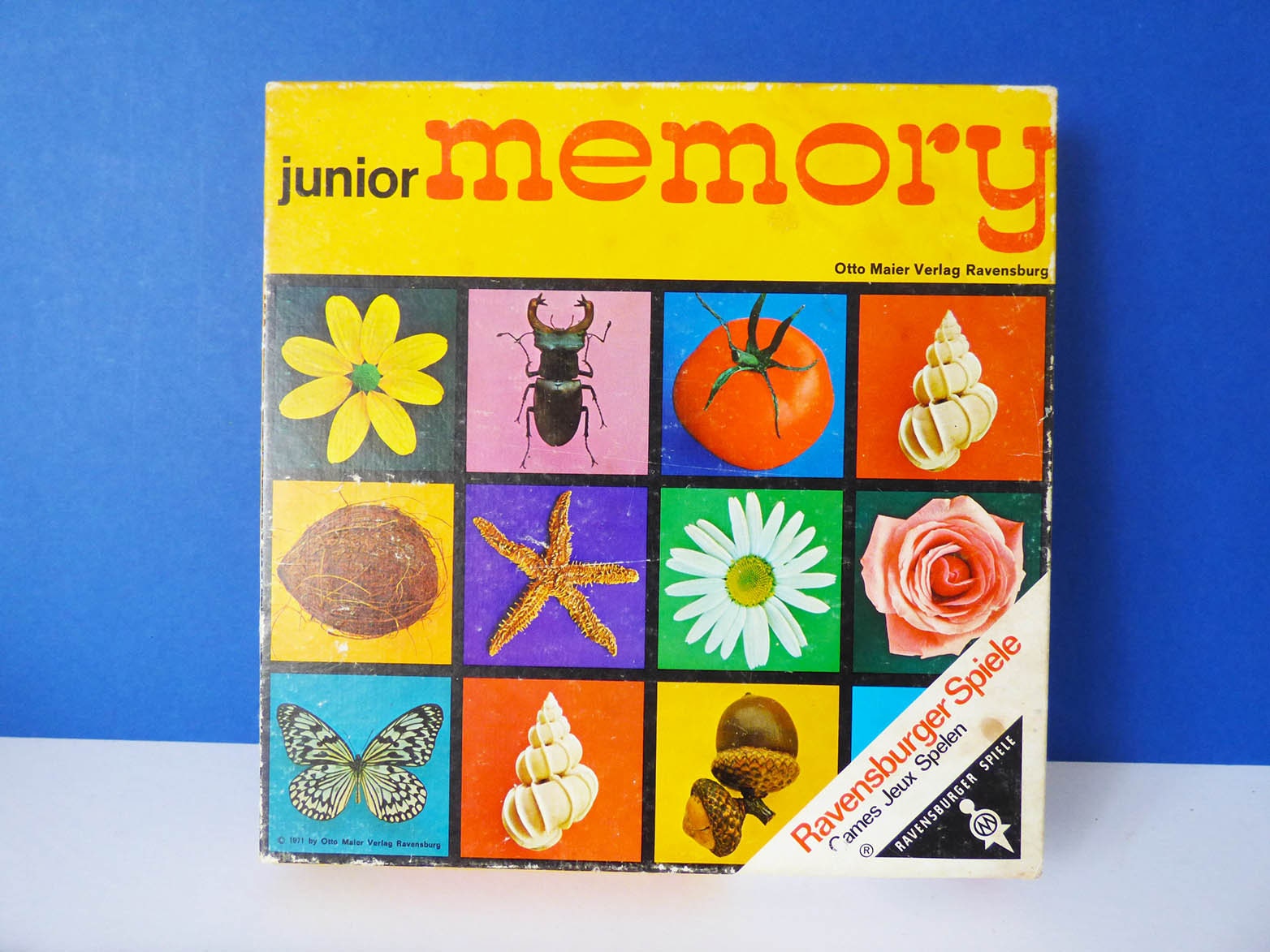 Junior Memory Junior Memory