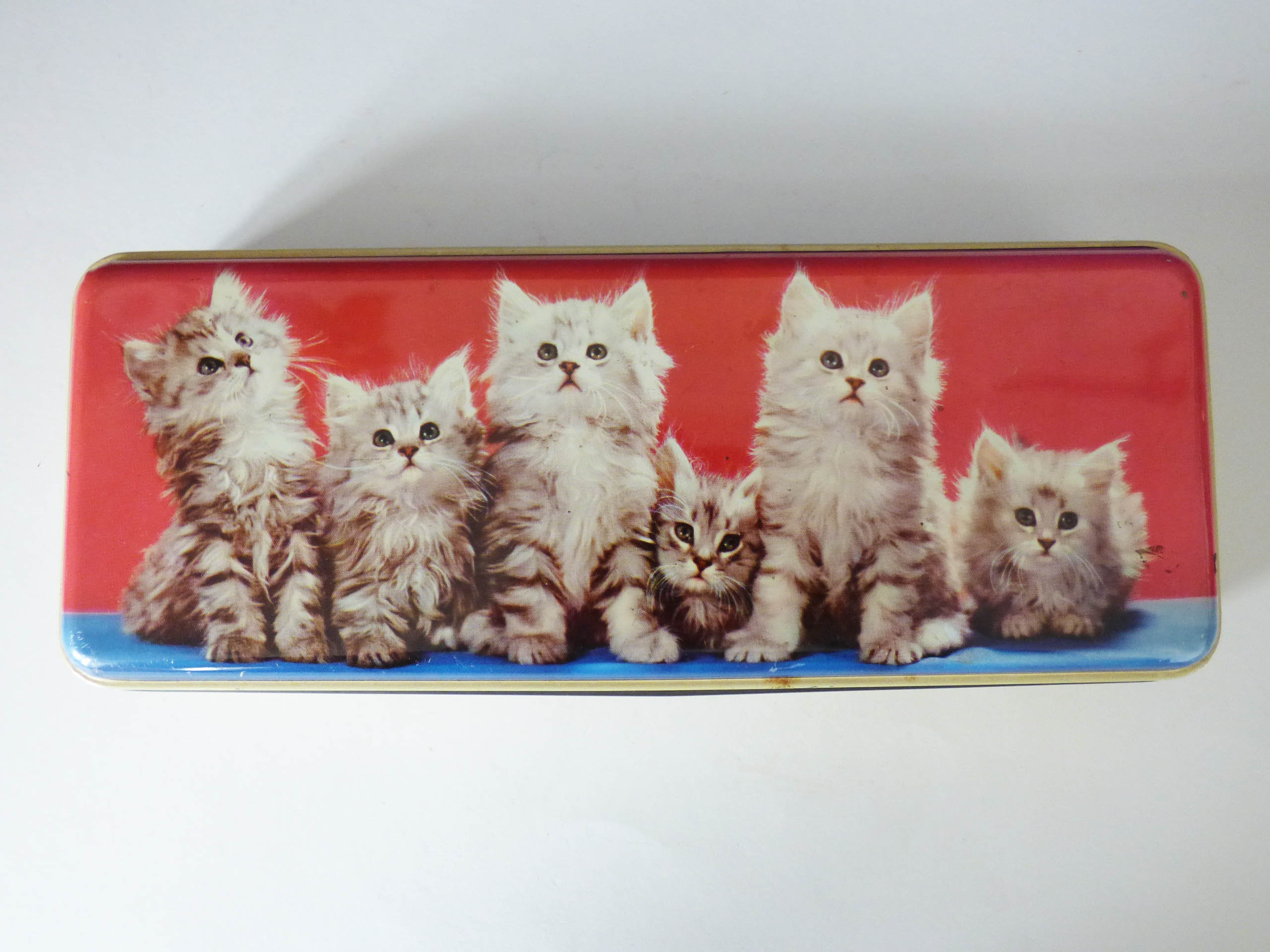 Vintage tin featuring cute kittens
