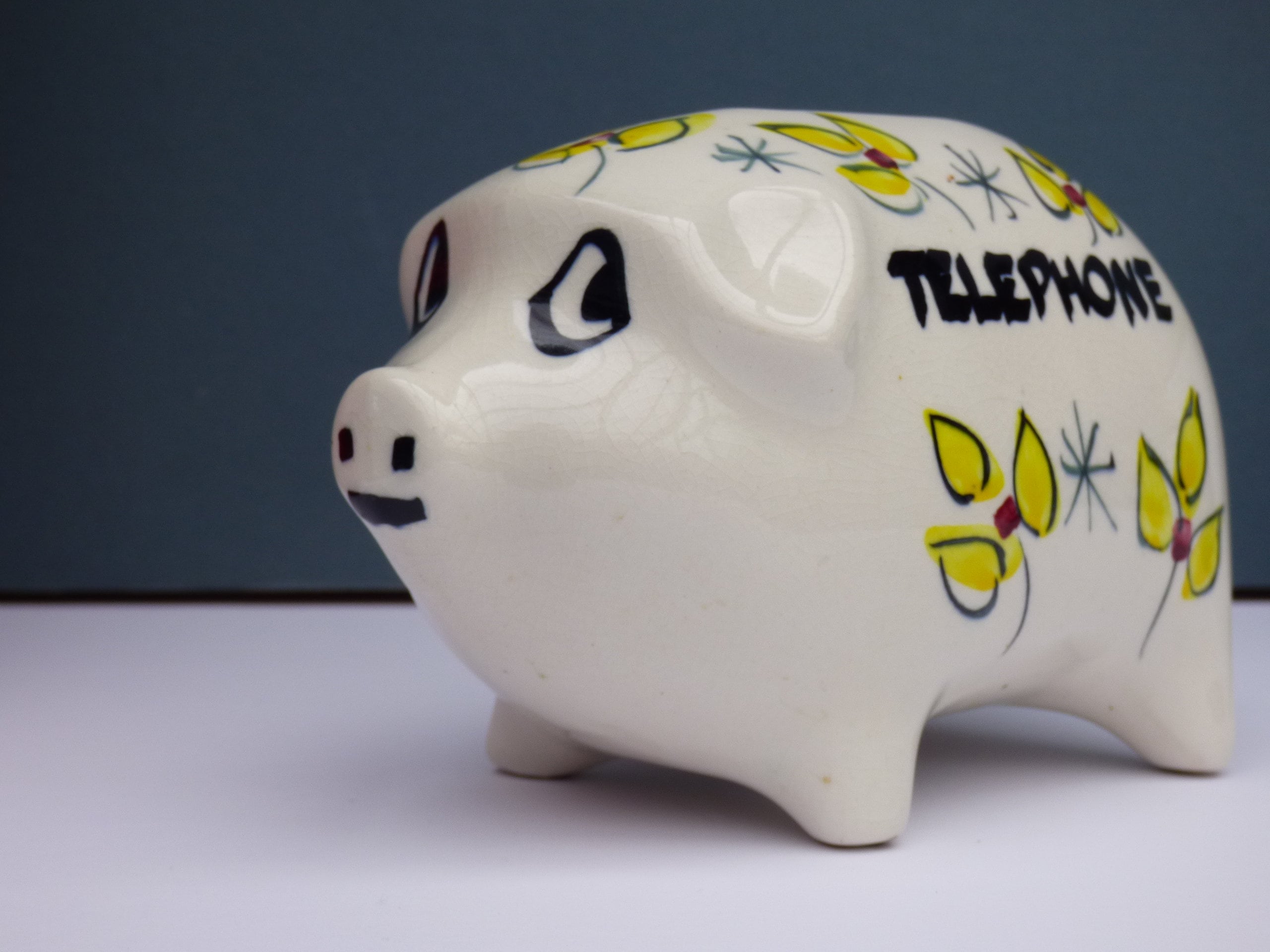 Ceramic Piggy Bank
