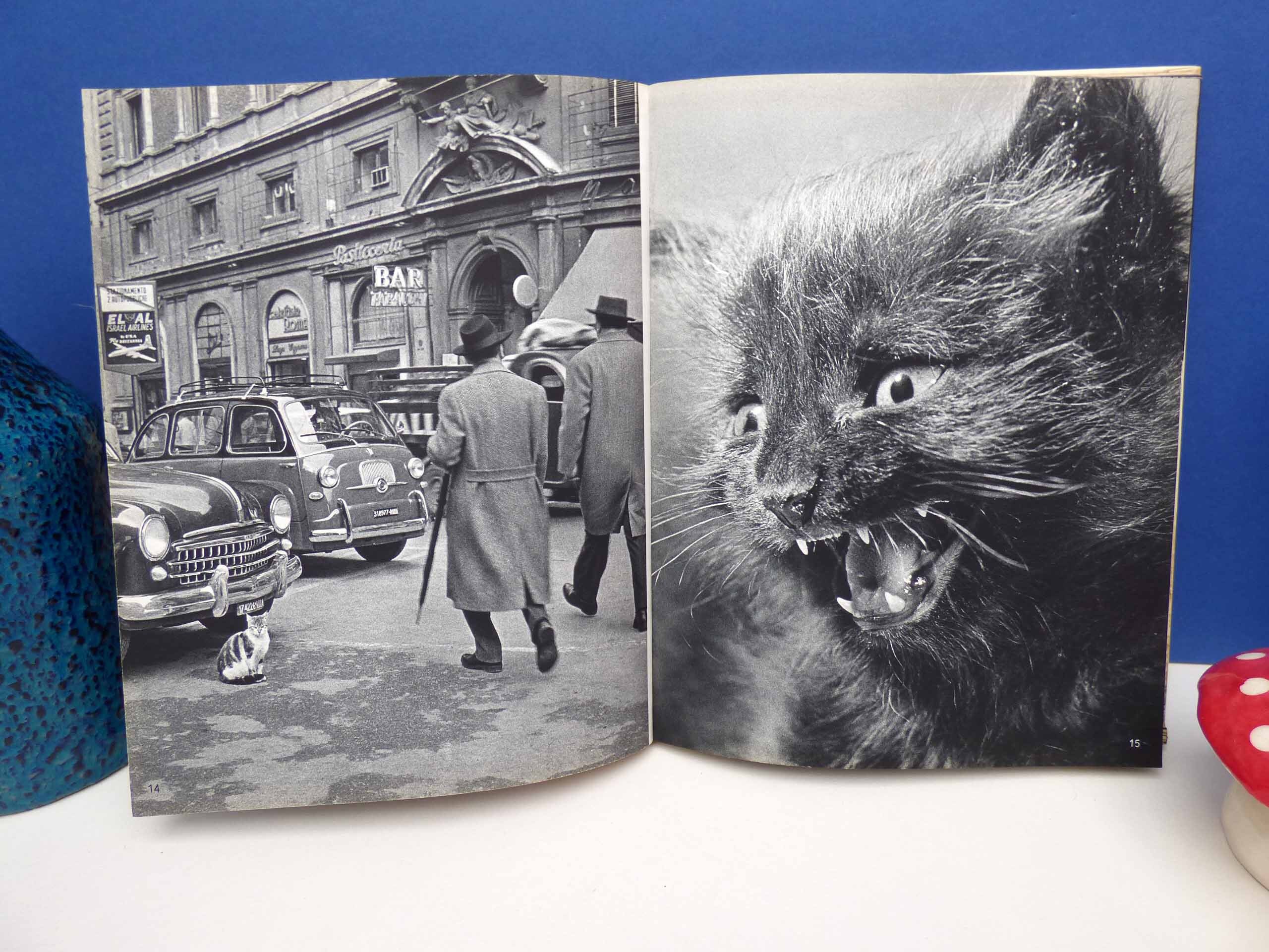 Cats - Hanns Reich - 1965 Fountain Press Edition of Cats – A