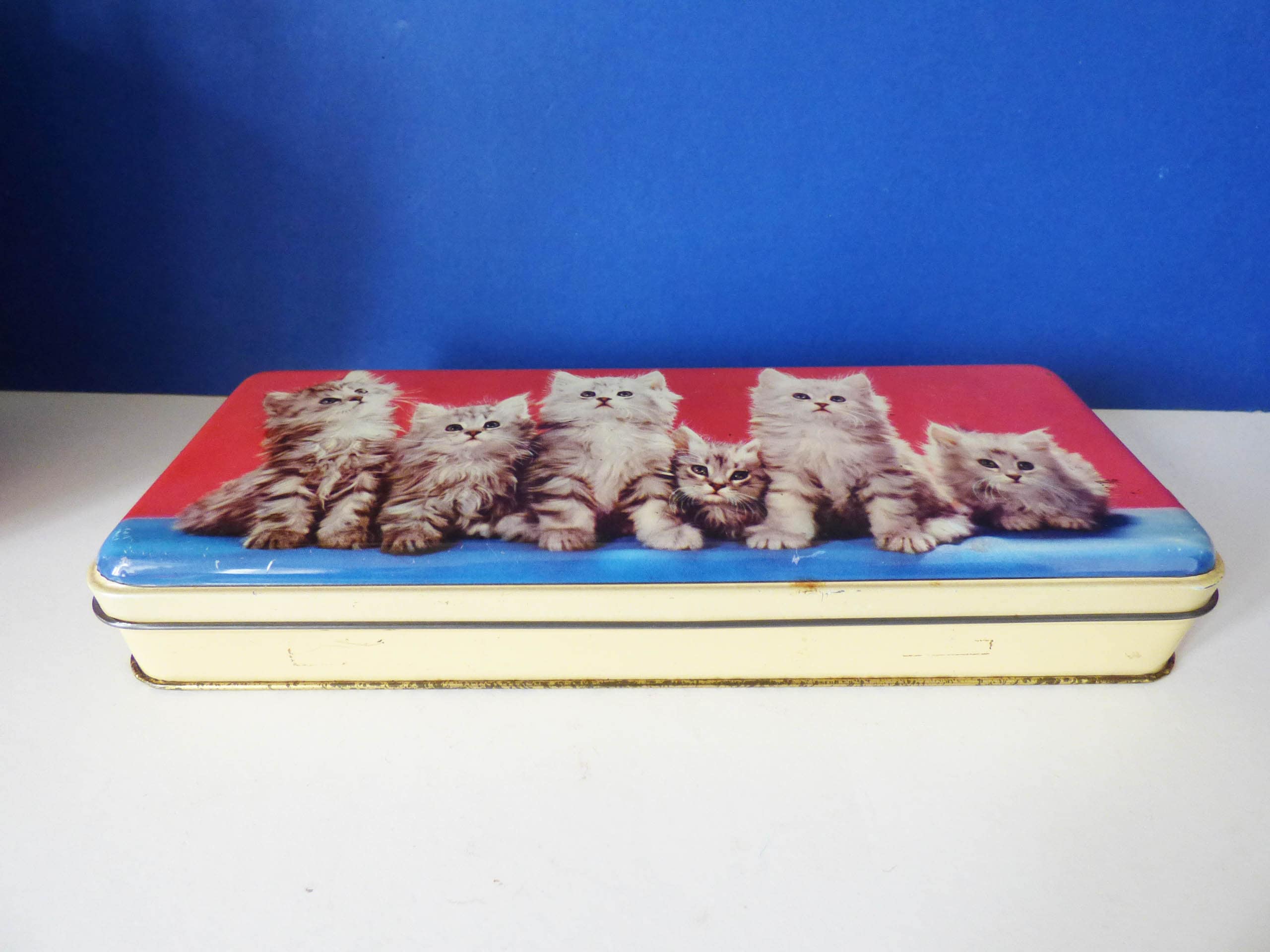 Vintage tin featuring cute kittens