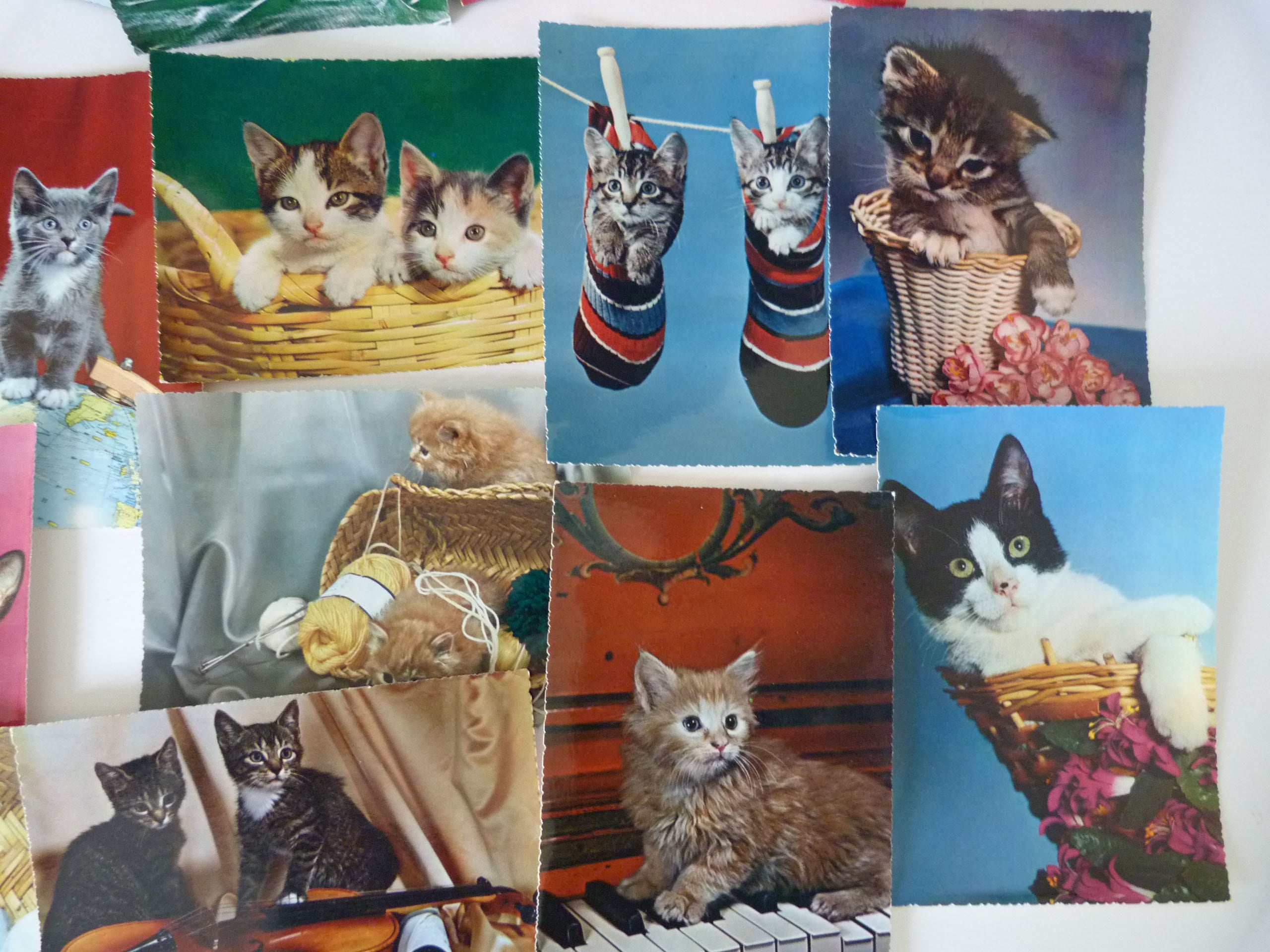 Vintage cat postcards