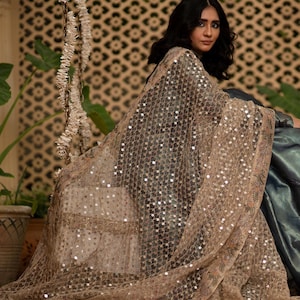 May include: A sheer, tan-colored shawl with a delicate, sequined pattern. The shawl is draped over a dark-colored garment, creating a layered effect. The background features a patterned wall and greenery.