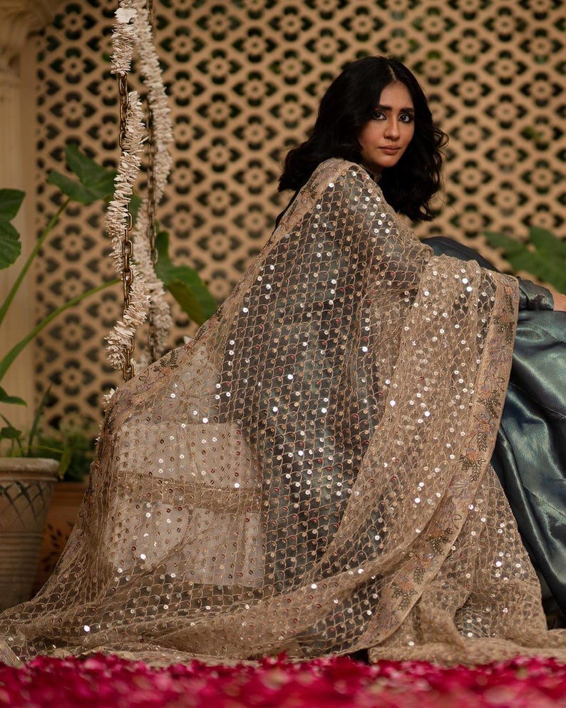 May include: A sheer, tan-colored shawl with a delicate, sequined pattern. The shawl is draped over a dark-colored garment, creating a layered effect. The background features a patterned wall and greenery.
