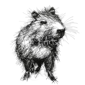 Capybara Digital Download Cute Capybara JPEG High Res Abstract Picture of Capybara Clipart Scribbled Pen and Ink Drawing of Large Rodent