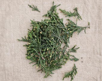 Dried Cypress Tips for Incense