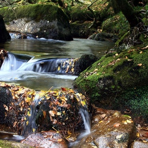 La rivi&egrave;re Dart, Dartmoor, A4 tirage photographique