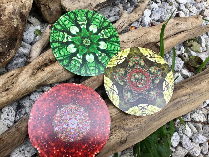 Round Forest Oracle Cards In Stock Etsy